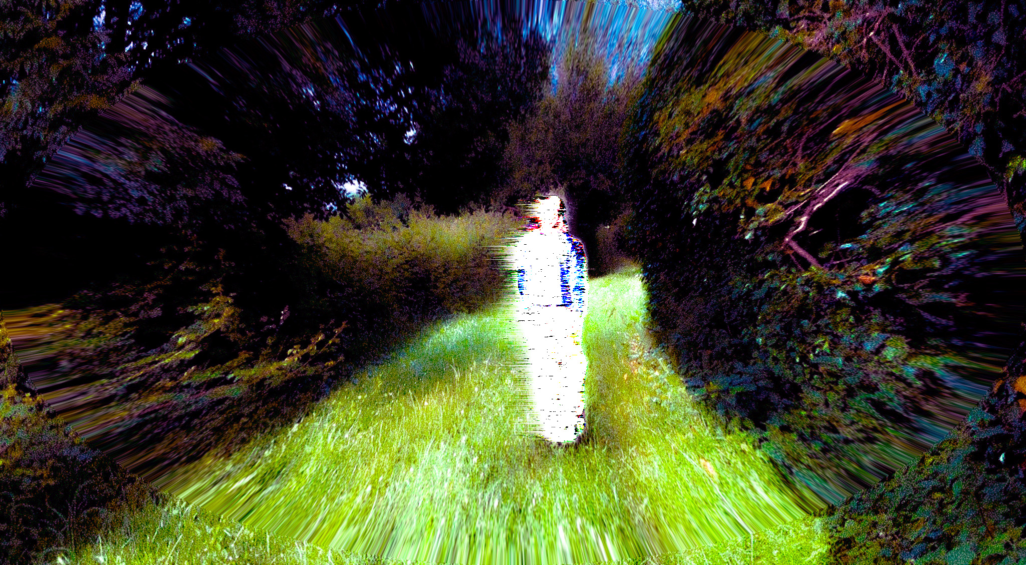 personnage lumineux sur un chemin de campagne